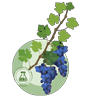 Vitinatur Logo